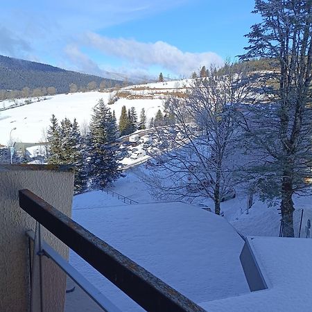 Studio Villard-De-Lans Esterno foto